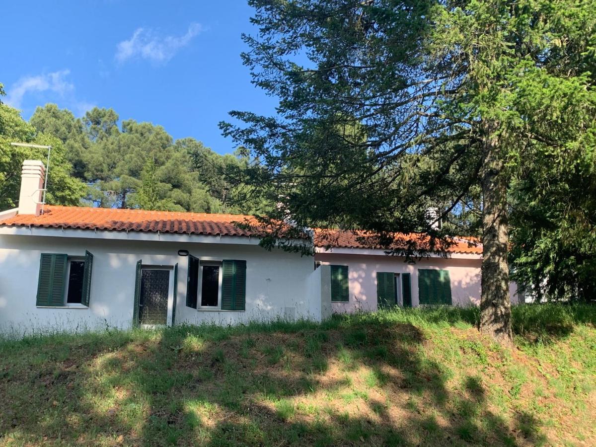 Villa Bel Douro Torre De Moncorvo Esterno foto